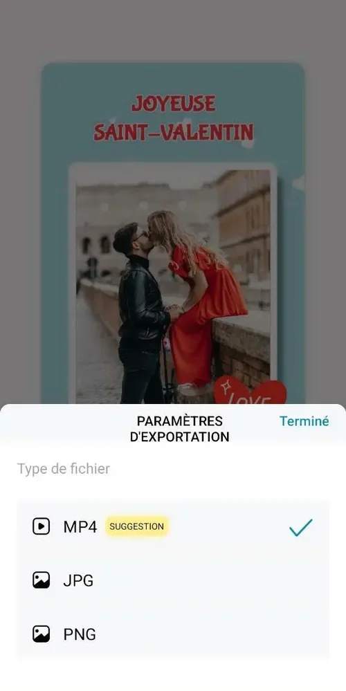 Promeo - importer carte