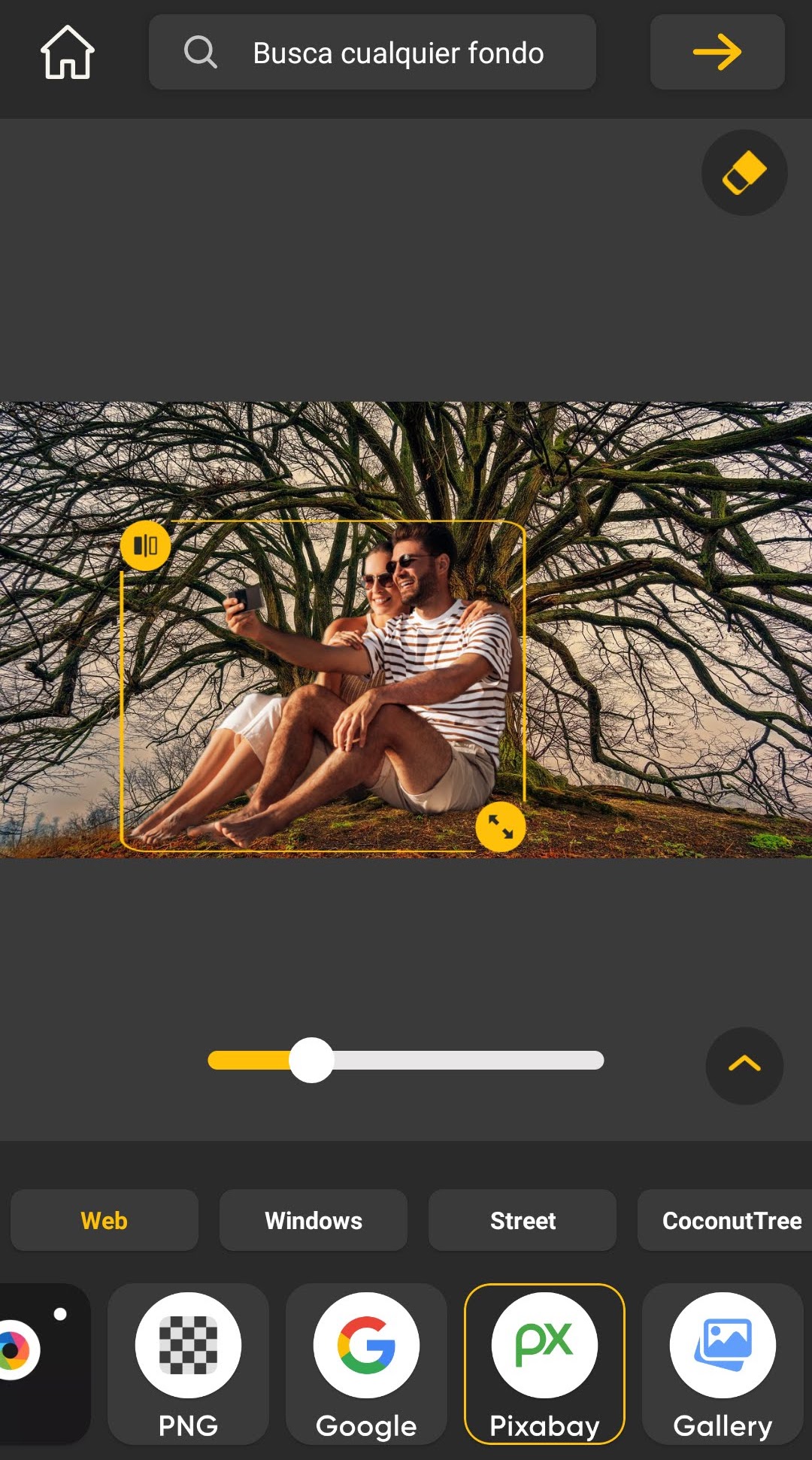 Cambiador-de-fondo-de-foto