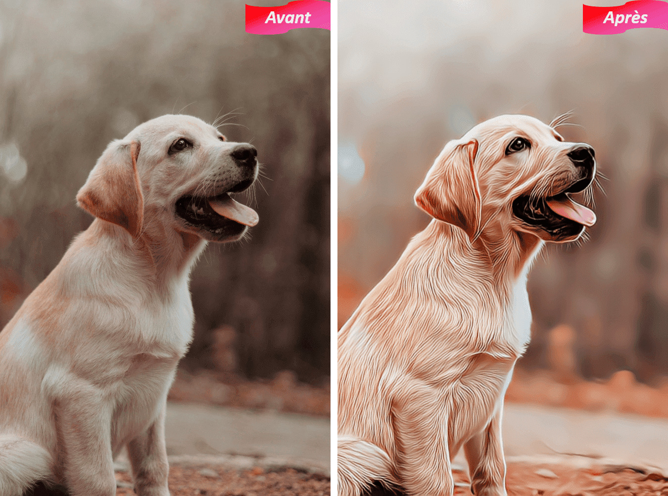 Photo d'un animal transformée en dessin avec PhotoDirector