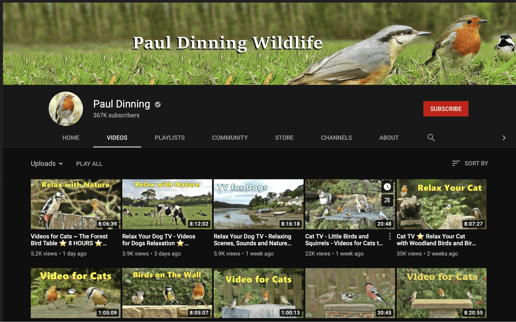 YouTube Channel - Paul Dinning Wildlife