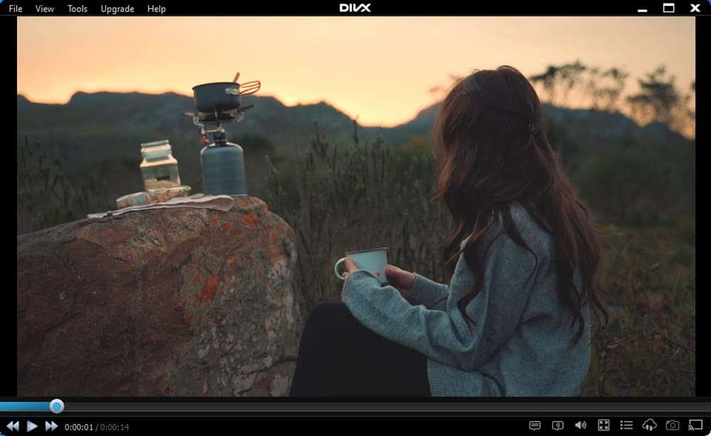 DivX Player Interface