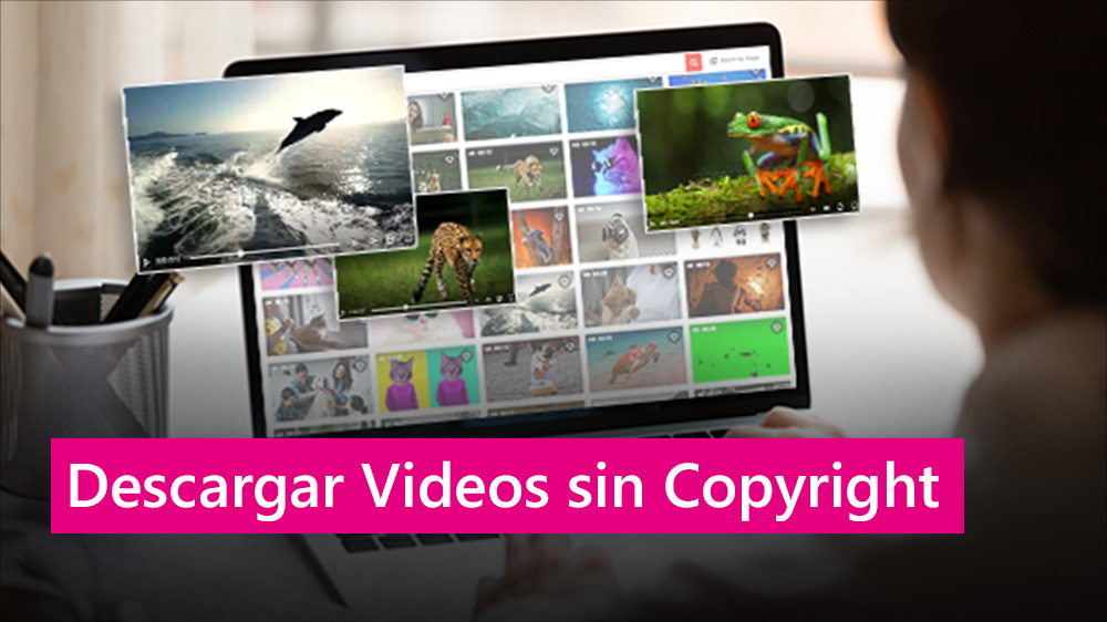 Los 5 Mejores Bancos de Videos sin Copyright en 2025