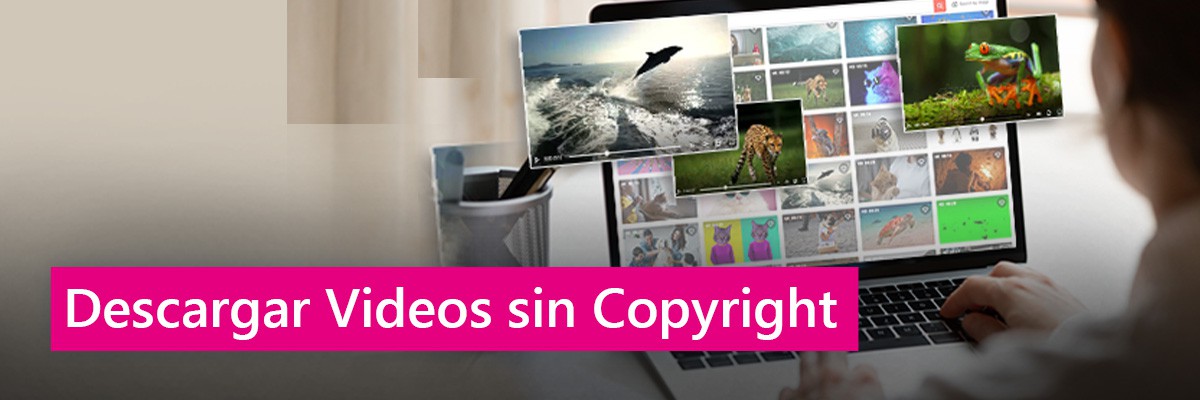 Musique Libre de droit