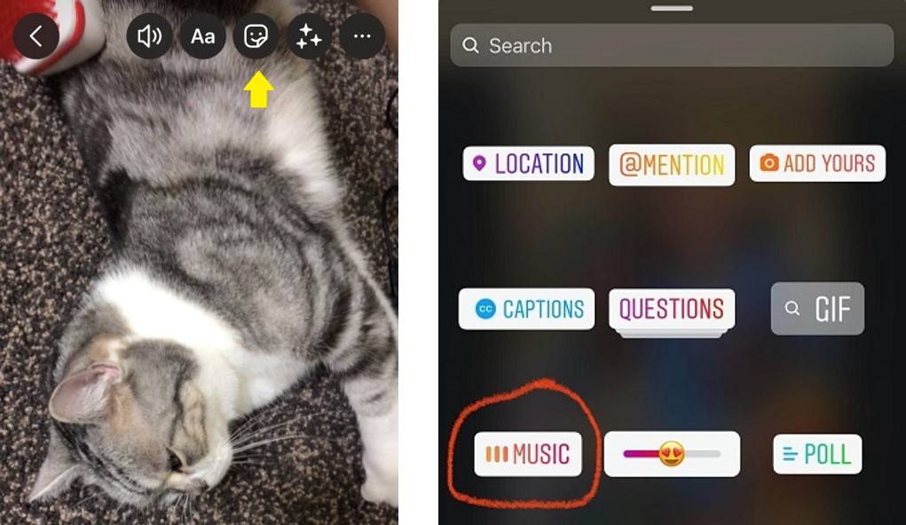 Instagram Reels Insert Music