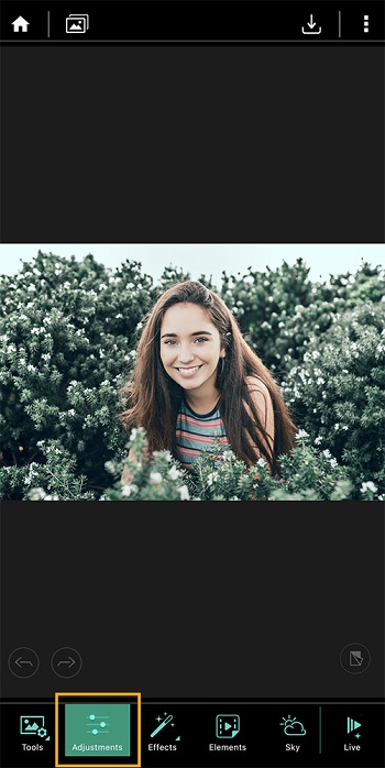 PhotoDirector App - Adjustments