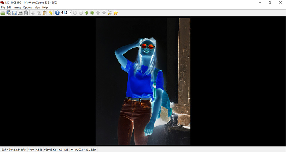 Irfanview Inversion Demo