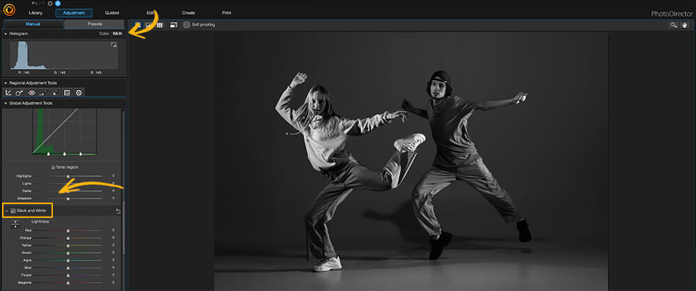 PhotoDirector - Black and White Curve