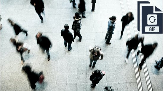 Los 5 mejores programas para crear GIF en tu PC [2025]