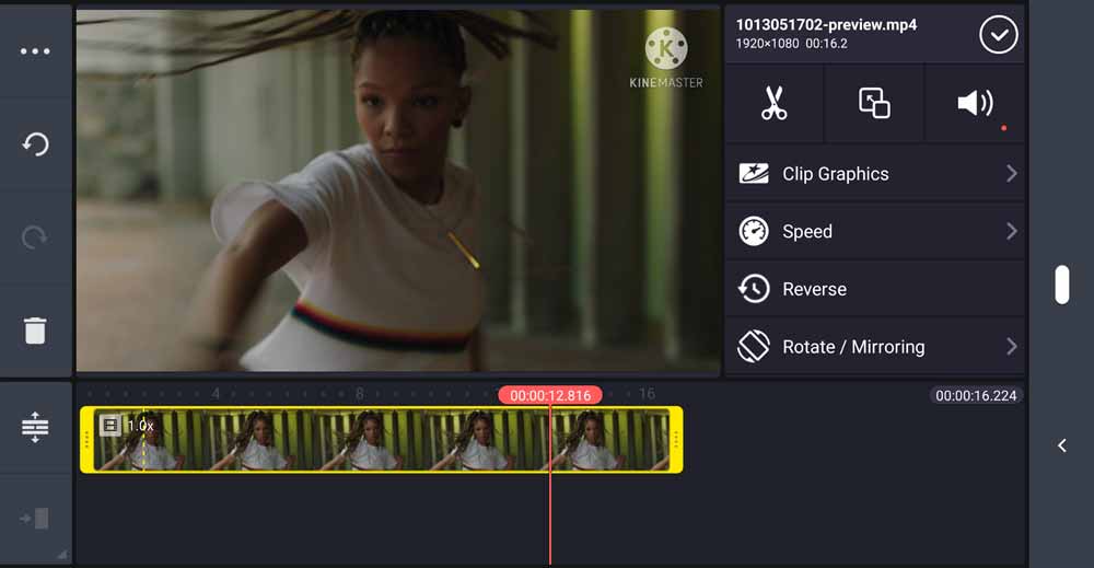 Example of KineMaster