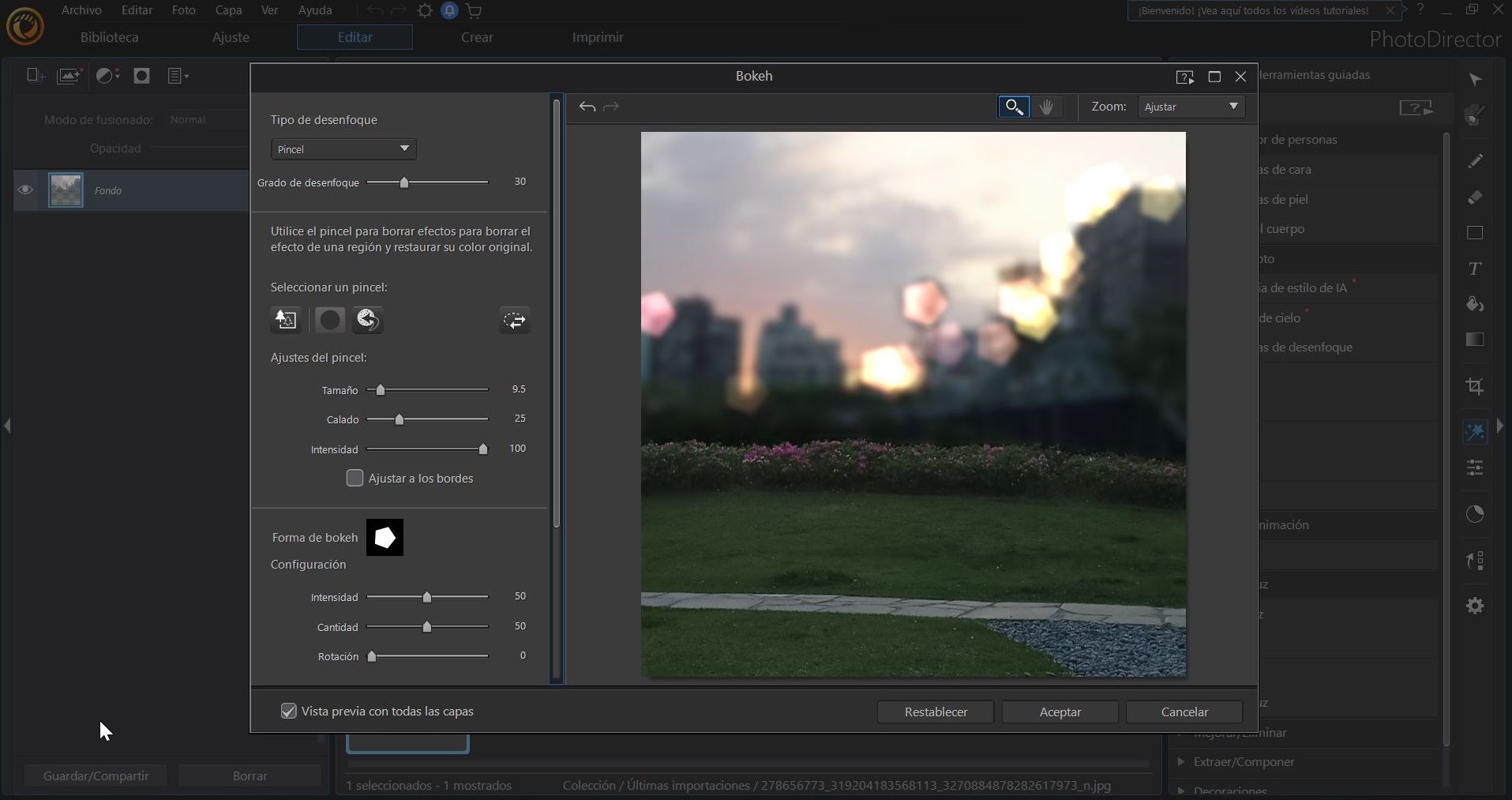 PhotoDirector - Adding Bokeh Effect to Your Image