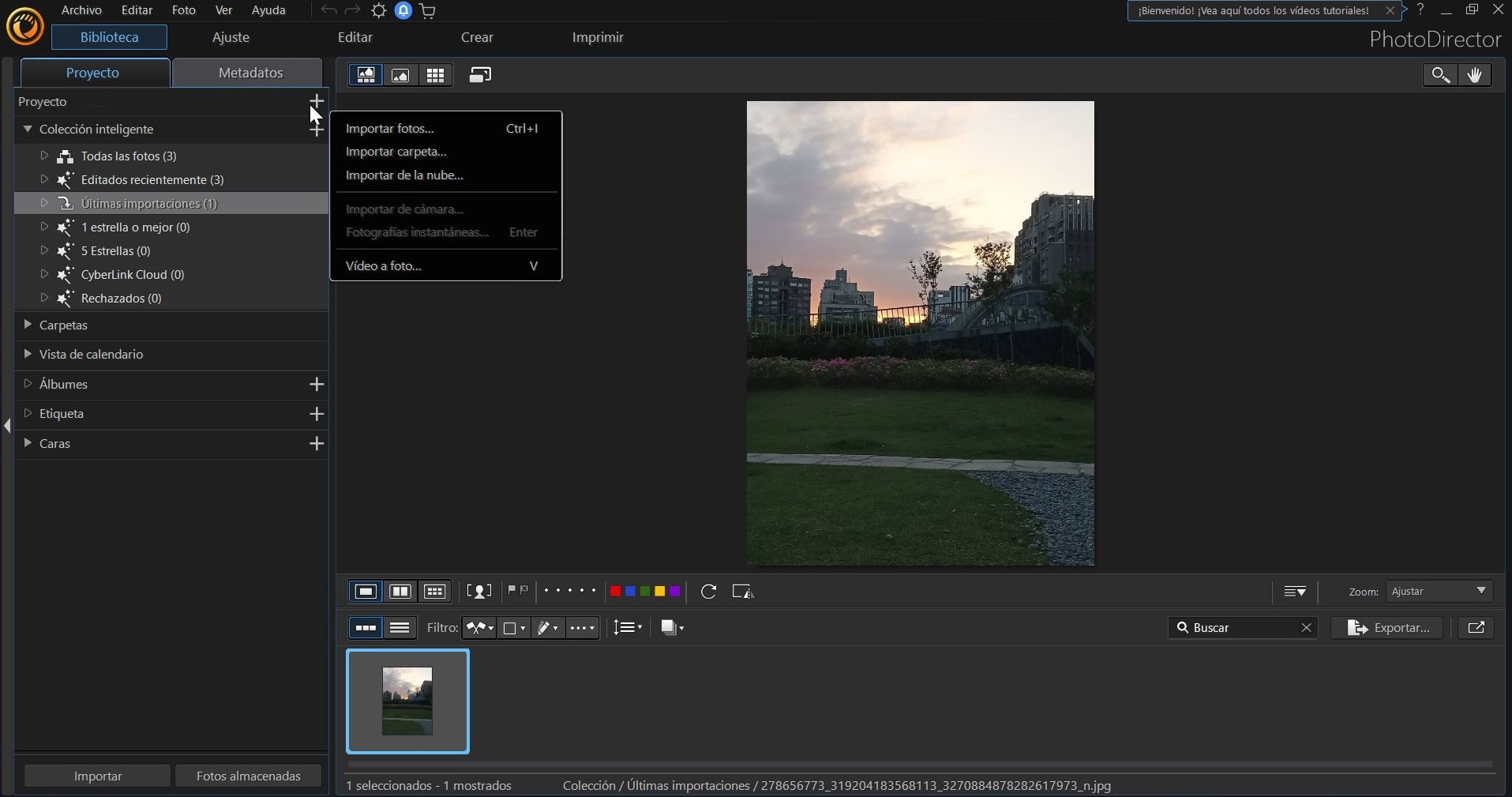 PhotoDirector - Import Image