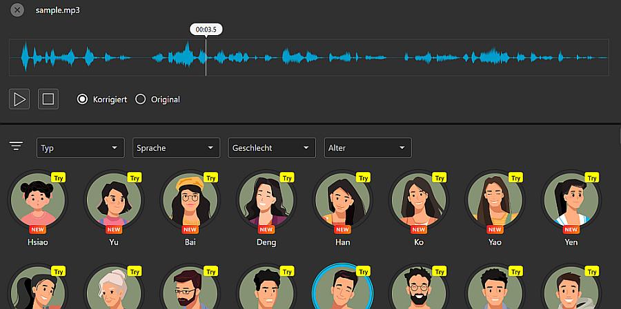 Ki Stimme auswählen