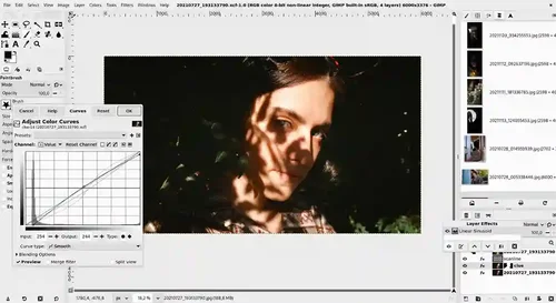 GIMP インターフェース
