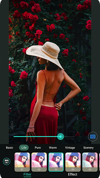 PhotoDirector App