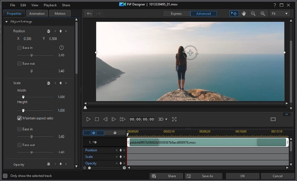 PowerDirector Interface - PiP Designer Resize