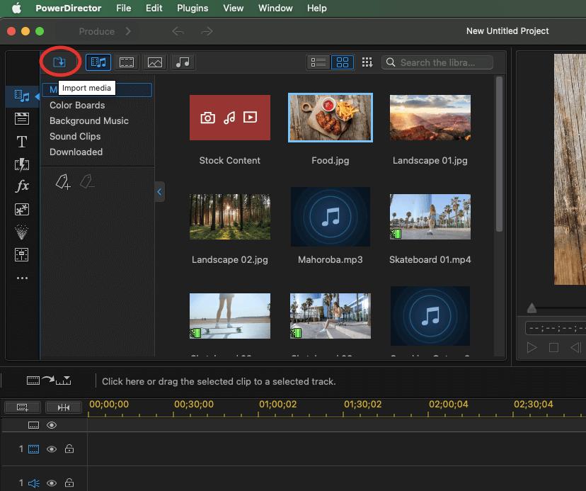 PowerDirector Interface - Import