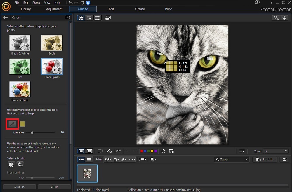 PhotoDirector - Color Splash