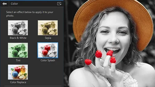 Discovering the 5 Best Color Splash Software of 2022 [Windows, Mac]