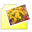 簡単デジカメ写真整理