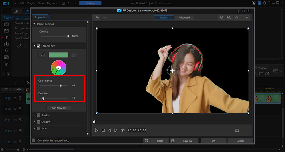 PowerDirector Interface - Denoise