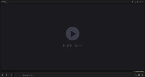 PotPlayer Interface