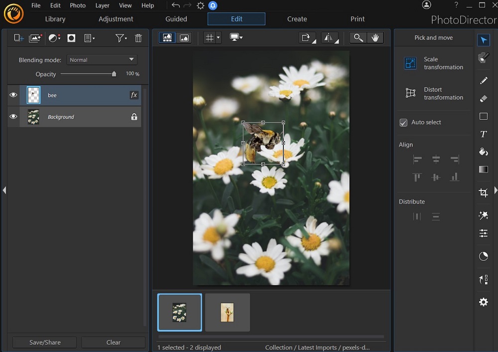 PhotoDirector Scale Transformation