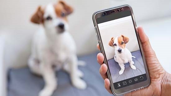 Die besten Kamera-Apps 2025 [iPhone und Android]