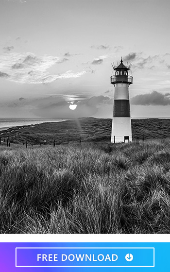 Use the best photo editor app, PhotoDirector to create amazing blur and bokeh effects