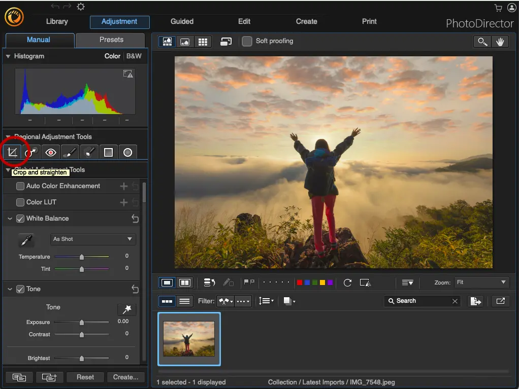 PhotoDirector - Adjustments