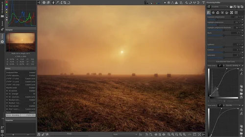 RawTherapee Interface