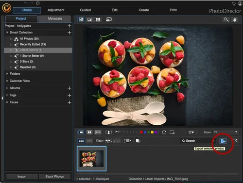 PhotoDirector - Export
