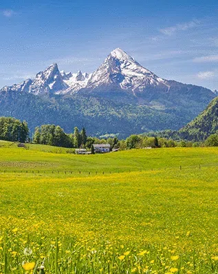 PhotoDirector App - Best AI Editing App