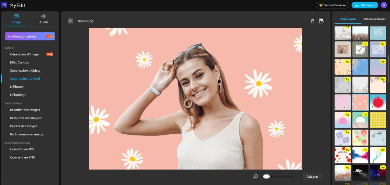 Changer le fond d'une image en ligne - MyEdit Etape 4