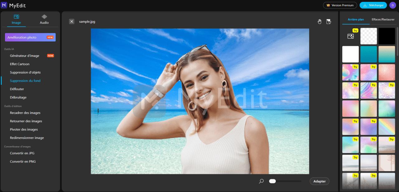 Changer le fond d'une image en ligne - MyEdit Etape 4