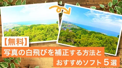 【無料】写真の白飛びを補正する方法とおすすめソフト５選【2025年最新版】
