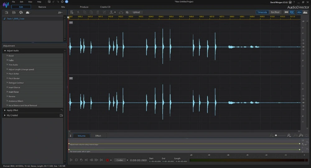 AudioDirector Interface