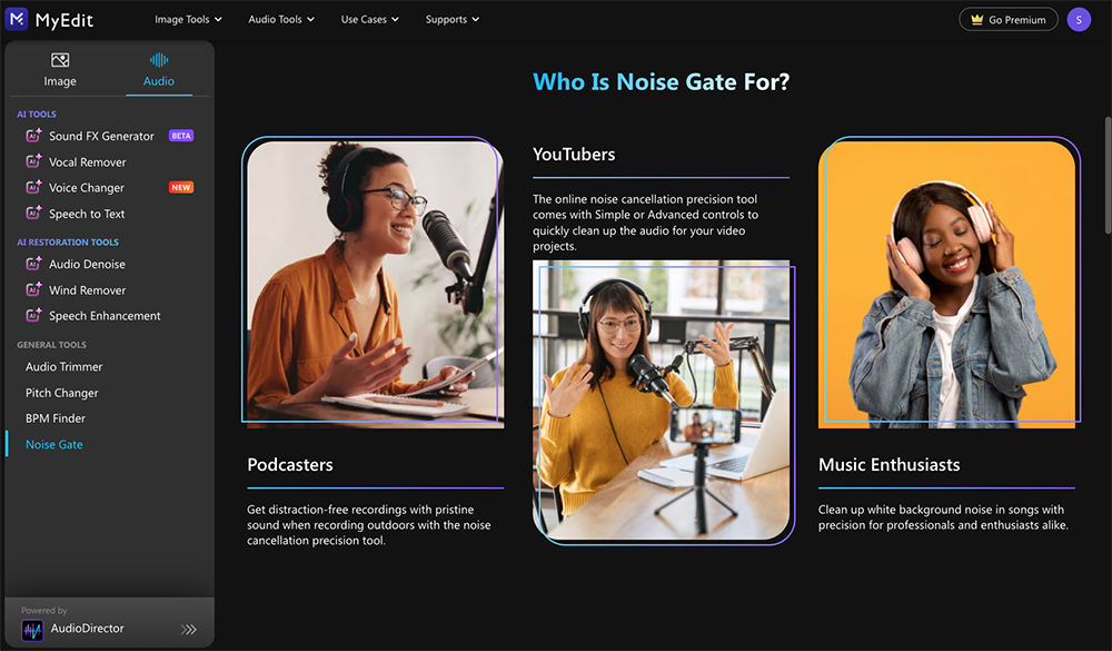 myedit-noise-gate-screenshot