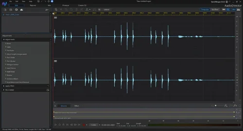 AudioDirector Interface