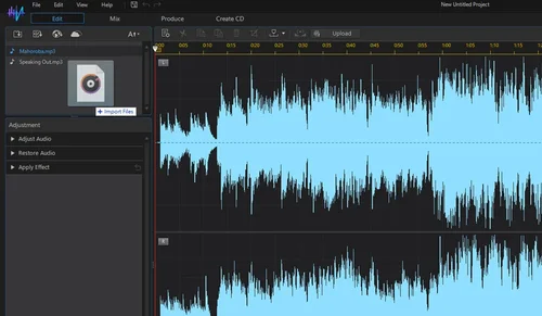 AudioDirector - Import Files