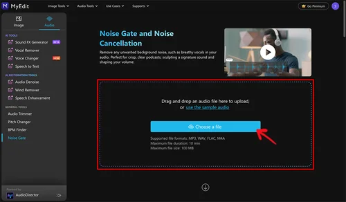 AudioDirector - Choose a file