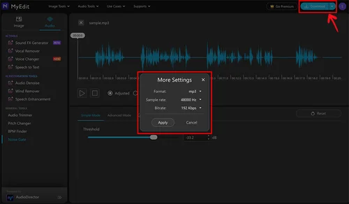 AudioDirector - Choose a file