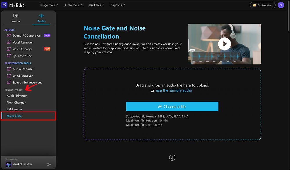 AudioDirector - Restore Tools