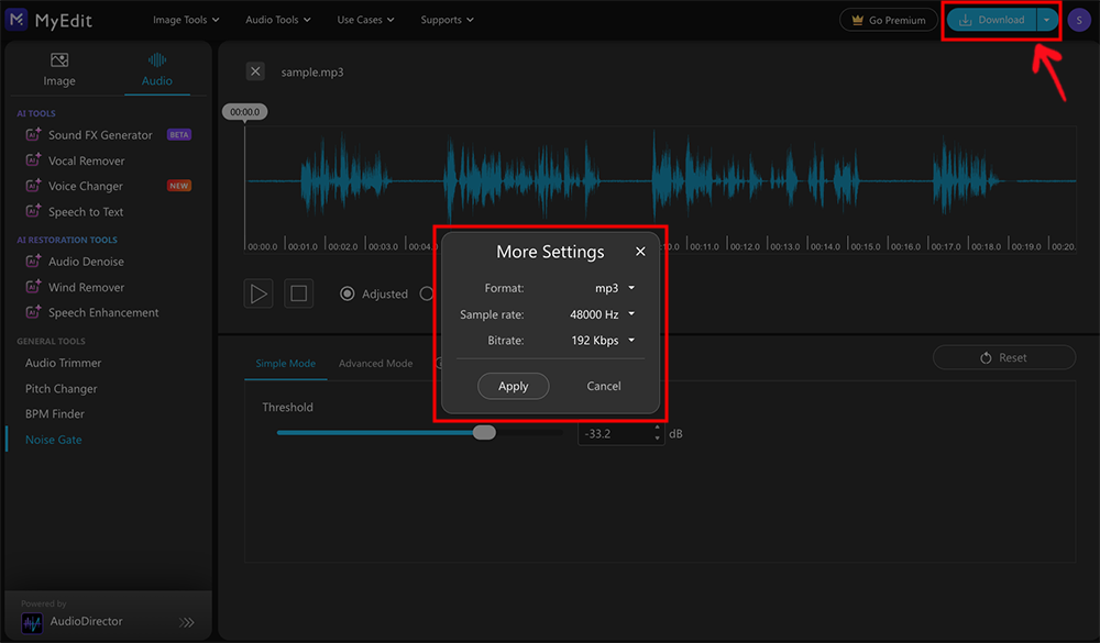 AudioDirector - Choose a file