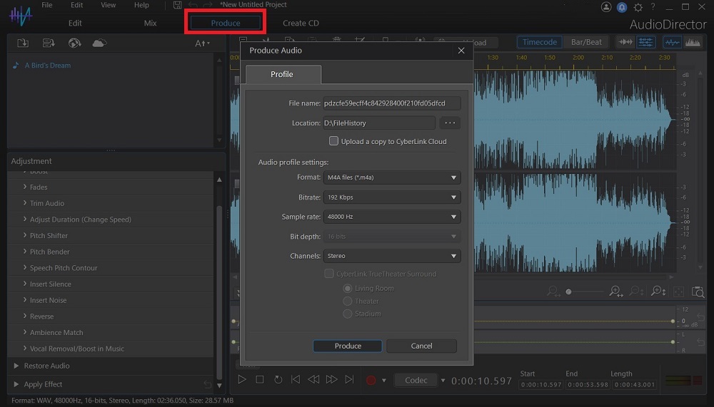 AudioDirector Interface - Produce