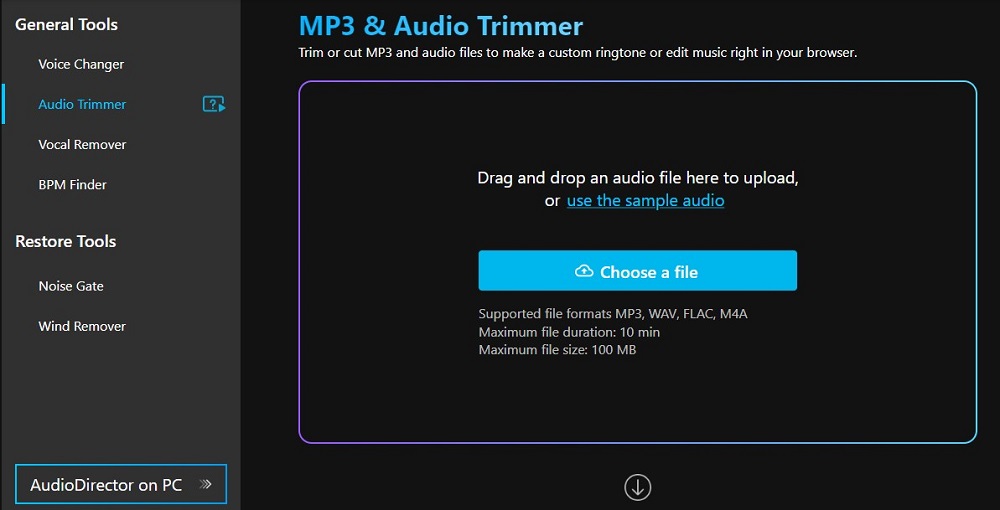 AudioDirector Interface - Upload your file