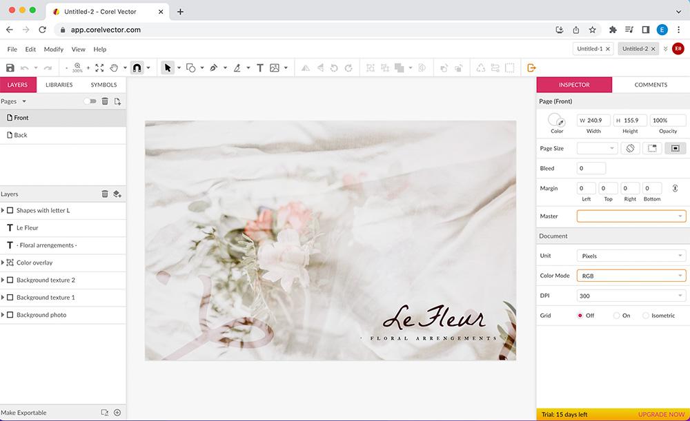 Corel Vector Interface