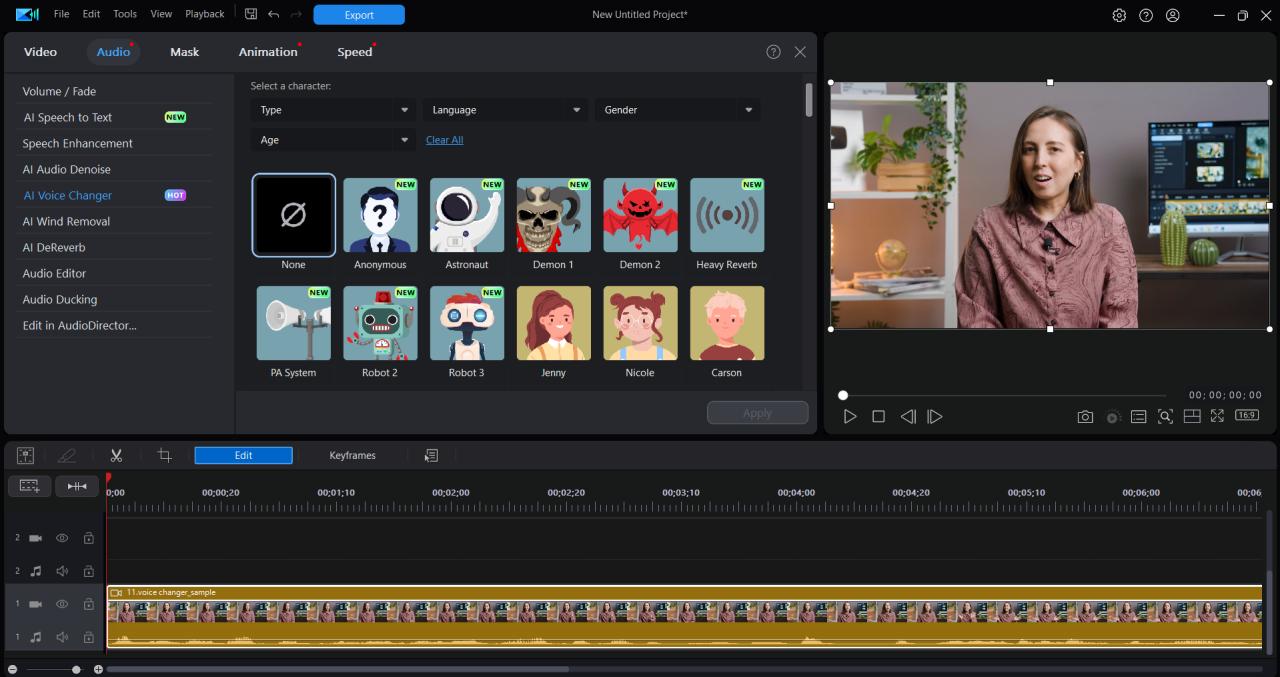 Powerdirector voice changer Interface