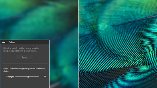 Best Free & Easy Ways to Upscale Images With an Image Enhancer Online