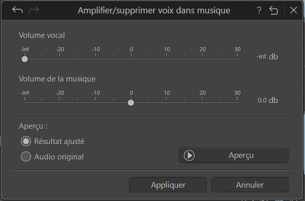AudioDirector Interface - supprimer les voix