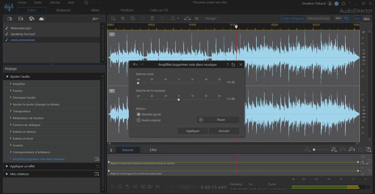 AudioDirector Interface